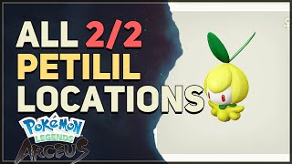 All Petilil Locations Pokemon Legends Arceus [upl. by Naara]