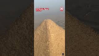 Adventurous Dog Wandering On Top Of Giza Pyramid Spotted By Paraglider [upl. by Urbanna419]