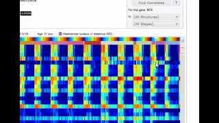 Tutorial BrainSpan Atlas of the Developing Human Brain [upl. by Nile]