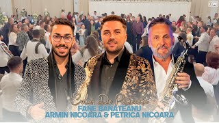 Fane Banateanu Armin Nicoara amp Petrica Nicoara ✗ Colaj De Petrecere Live  Bal Cacica Suceava [upl. by Nathalie]