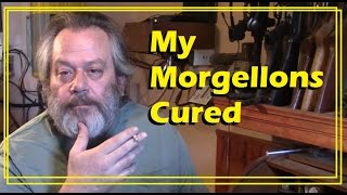 The Unknown Cat Morgellons [upl. by Ydeh]