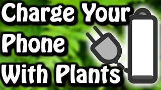 Charge Your Phone With Plants ✔ [upl. by Argyle581]