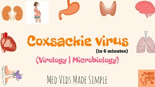 Coxsackievirus  Microbiology  Med Vids Made Simple [upl. by Rowland]