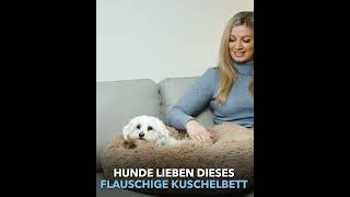 Flauschig weiches Hundebett Wolke 7  das Original [upl. by Ydahs]