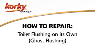 How to Fix Toilet Flushing on its Own  Ghost Flushing [upl. by Adrell828]