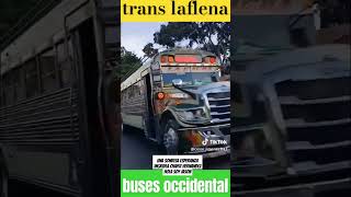 RUTA 23 BUS 8 viralvideoshortstiktok SheilaSandiegot1j busesguatemala musica [upl. by Letnuahc]