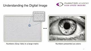 Python for Image Processing amp Analysis Webinar [upl. by Crofoot291]