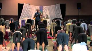 Rod Stryker Yoga Bandha and the Energetics of Yoga Practice [upl. by Ielarol19]