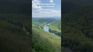 Chestnut Bluff Hike  Stunning Views amp Adventure in Tennessee [upl. by Kooima]