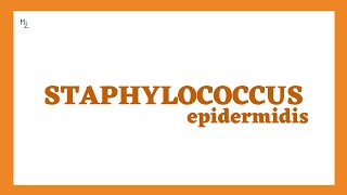 Staphylococcus Epidermidis Microbiology Full Lecture  Catheter Associated Infections [upl. by Augusto]