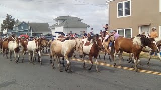 Chincoteague Island Pony Swim and Parade 🐎 [upl. by Franek]