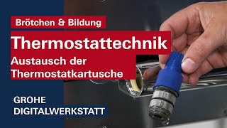 GROHE Brötchen amp Bildung Thermostattechnik  Austausch der Thermostatkartusche [upl. by Chandal]