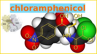 chloramphenicol [upl. by Assirem]