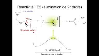 Organique  Chapitre 7  Capsule 1  Élimination des dérivés halogénés [upl. by Aramo]