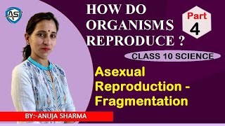 HOW DO ORGANISMS REPRODUCE  ASEXUAL REPRODUCTION FRAGMENTATION [upl. by Aicilla693]