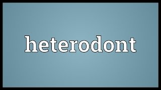 Heterodont Meaning [upl. by Luapsemaj]