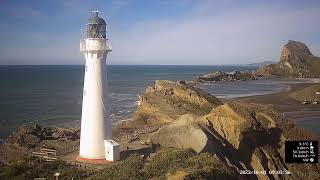 Castlepoint Lighthouse Live Stream [upl. by Icak]