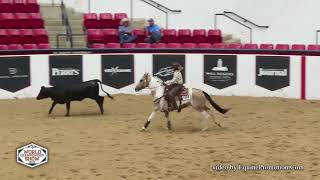 Jazzy Box Drive APHA World Show 2024 [upl. by Acus]