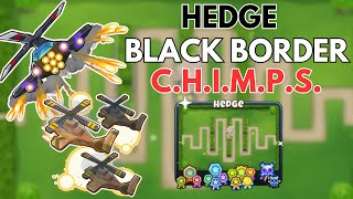 Hedge CHIMPS Black Border Easy Guide l Bloons TD 6 [upl. by Kellen]