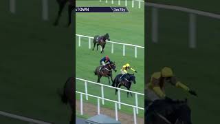 Galopin Des Champs  Irish Gold Cup King again horse horseracing racingtv britishhorseracing [upl. by Luapnaej]