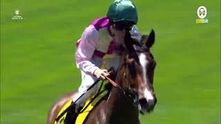 Every race from Lexus Melbourne Cup Day [upl. by Asilej891]