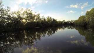 Inflight at Old Oaks Carp France [upl. by Germano785]