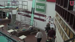 Swimming amp Diving vs Vassar [upl. by Leseil]