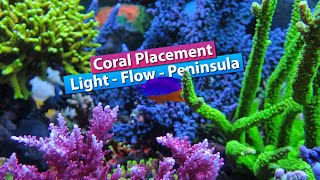 Coral Placement Lighting flow Spacing Peninsula [upl. by Ballard607]