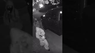 Commerce City Police looking for armed burglars [upl. by Nitnilc]