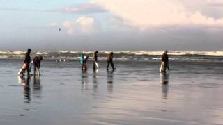 Razor Clamming at Pacific Beach State Park [upl. by Remy]