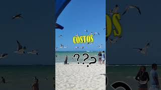 progreso yucatan mexico 2023 que hacer PLAYAS [upl. by Enirtak624]