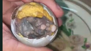 BALOT 13 EGG EMBRYO  ASMR EGGS FOOD FOODIE SATISFYING [upl. by Lativa243]