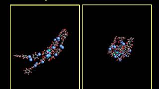 Liquidcrystal Conformations [upl. by Ain]