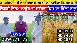 All New Wheat Varieties … HD 3386 3385  PBW 826 VS DBW 327  JKW 261  HD 2851 [upl. by Kari]