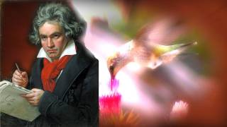 Klassische Musik  Beethoven  Symphony No 6  Symphonie Nr 6  Pastorale  Ludwig van Beethoven [upl. by Gord348]