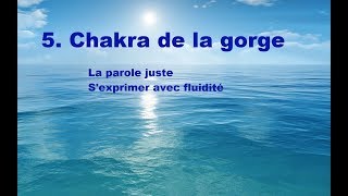 5 Chakra de la gorge La parole juste vs le quotnon ditquot ou la médisance [upl. by Harragan]