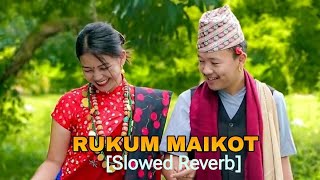 Kamarai Ma Patuki Kasera Song Slowed Reverb New Song [upl. by Portugal588]