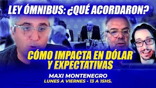 Ley ómnibus ¿Qué acordaron Cómo impacta en dólar y expectativas [upl. by Fiertz]