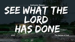 See What The Lord Has Done  Nathaniel Bassey Lyrics [upl. by Noemis]