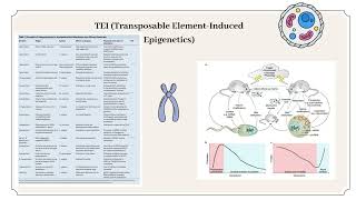 Epigenetics and Trauma [upl. by Niall]