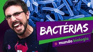 🦠 Microbiologia 25 Bactérias  Biologia  ENEM [upl. by Hiltan]