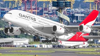 400 AIRCRAFT TAKEOFFS amp LANDINGS in 4 HOURS Aircraft Identification  Sydney Airport Plane Spotting [upl. by Orozco839]