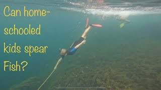 Fishing with a hand spear Gidgee Snorkelling in South West WA part 1 [upl. by Odradlig]