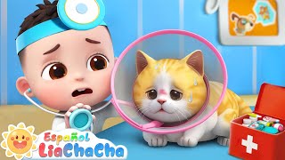 Canción del Gatito Enfermo  LiaChaCha en Español  Canciones Infantiles [upl. by Norbert]