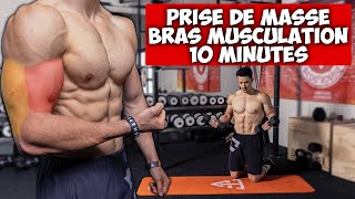 Prise de masse bras biceps triceps musculation programme [upl. by Luar]