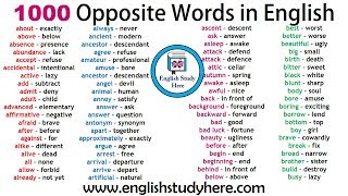 1000 Opposite Words in English  Antonym Words List  Common Opposites [upl. by Barnum]