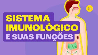 Como funciona o SISTEMA IMUNOLÓGICO Resumão [upl. by Leontyne808]