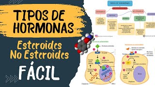 🧬 TIPOS DE HORMONAS ❌ diferencias  Esteroideas y no esteroideas [upl. by Secundas]