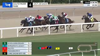 Gulfstream Park Replay Show  October 26 2024 [upl. by Nahgeam617]