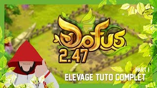 Dofus 247 élevage le tutoriel complet Partie 1Trouver amp acheter enclos amp Objets rentables [upl. by Derrej]